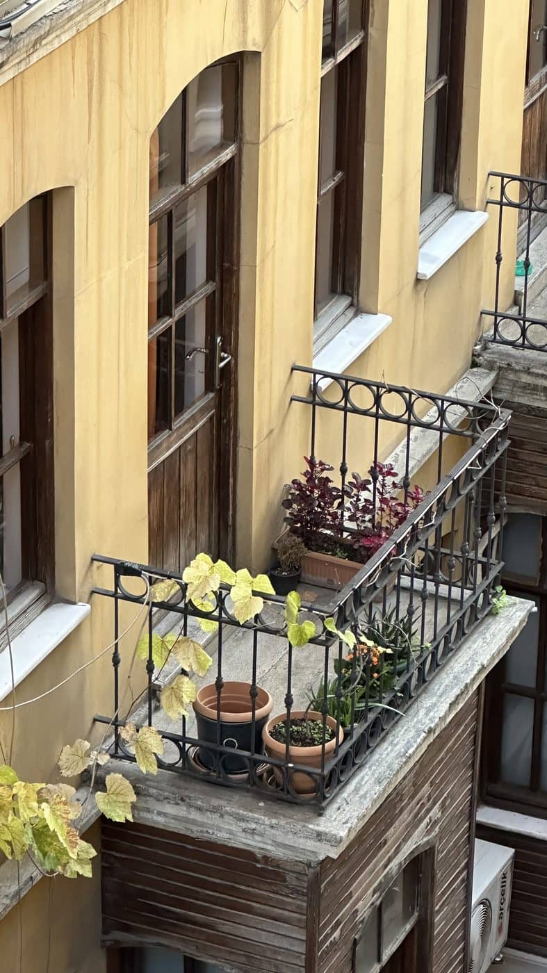 A balcony crowded with potted plants on a cream-coloured building